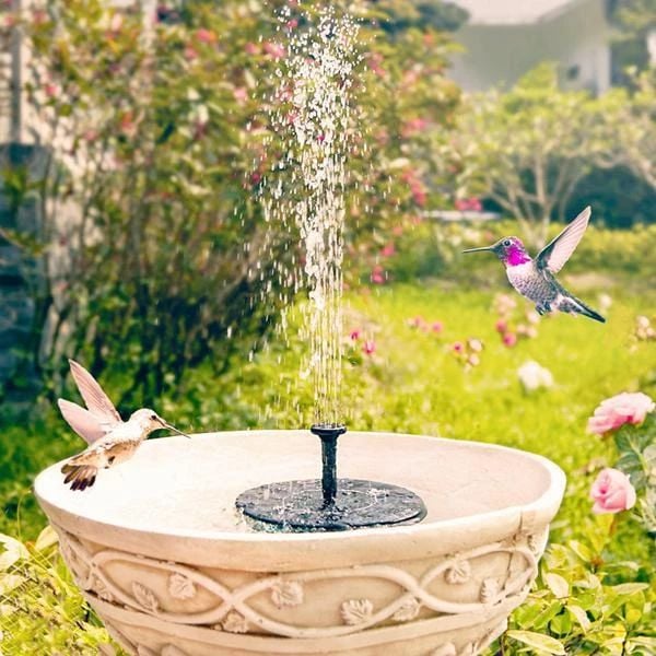 Solar bird baths
