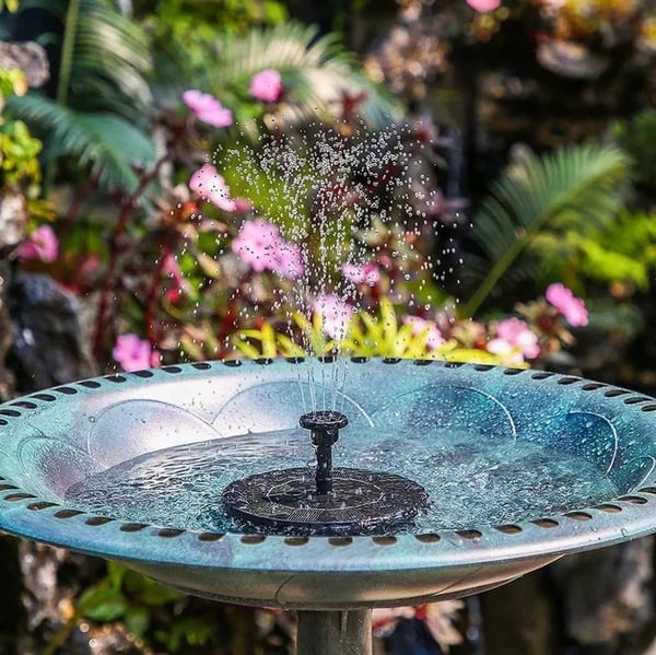 Solar bird baths
