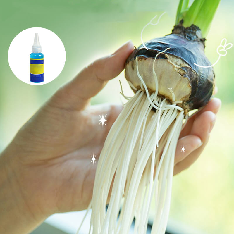 Universal nutrient solution for flowering potted plants Solid roots, vibrant flowers Perfect growth, hassle-free.