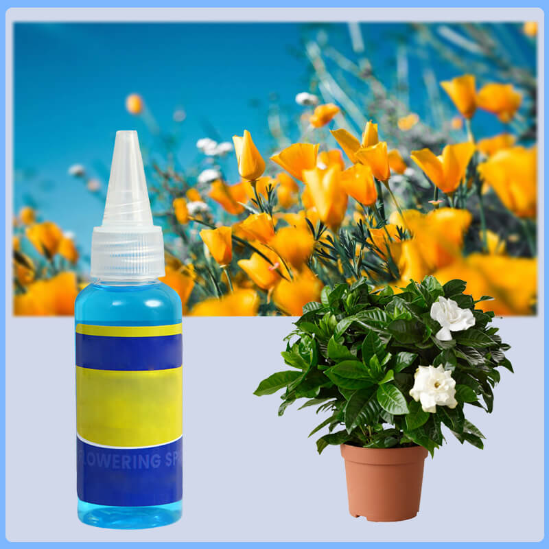 Universal nutrient solution for flowering potted plants Solid roots, vibrant flowers Perfect growth, hassle-free.