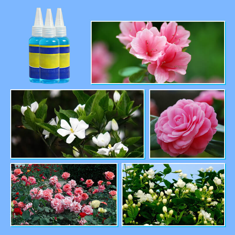 Universal nutrient solution for flowering potted plants Solid roots, vibrant flowers Perfect growth, hassle-free.