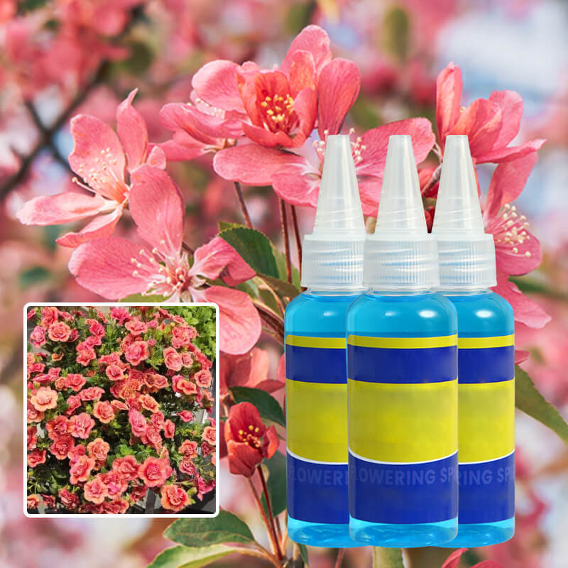 Universal nutrient solution for flowering potted plants Solid roots, vibrant flowers Perfect growth, hassle-free.