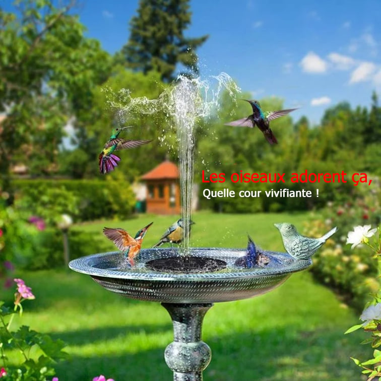 Promotion exceptionnelle -50 % sur les fontaines solaires pour oiseaux