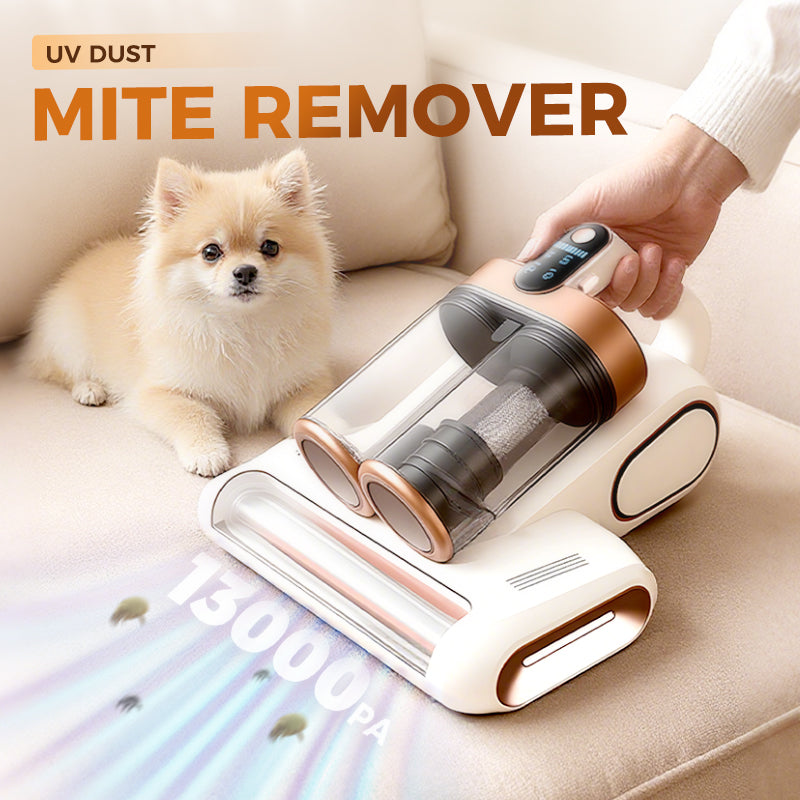 Offre spéciale durée limitée Aspirateur pour matelas anti-acariens [Livraison gratuite FR]