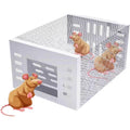 Souris automatique (capture continue)