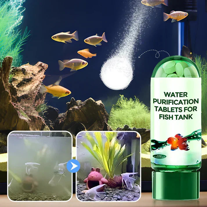 Pastille puissante de purification de l'eau d'aquarium