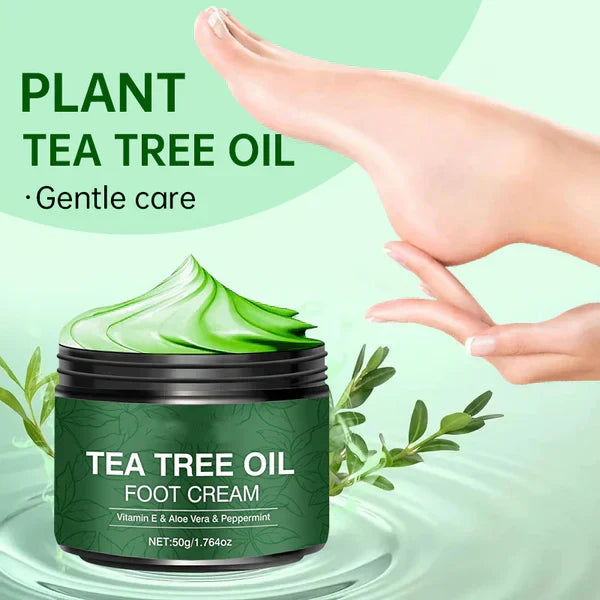 OFFRE SPÉCIALE 2026 Plus de 50 000 unités vendues Crème hydratante pour pieds à l'aloe vera et à l'arbre à thé, Version française optimisée
