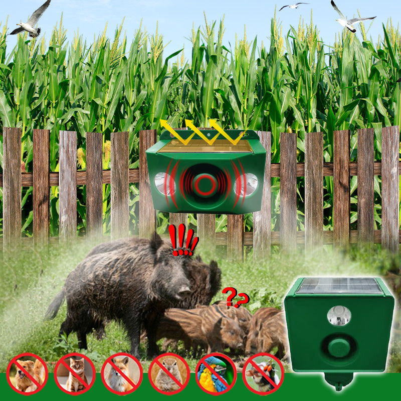 Anti-animal Solar Warning Light with High Volume