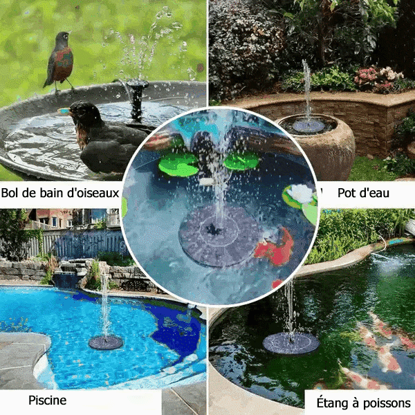 Solar bird baths