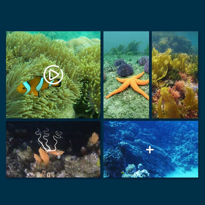 Application-Controlled Surface Drone for Water Exploration