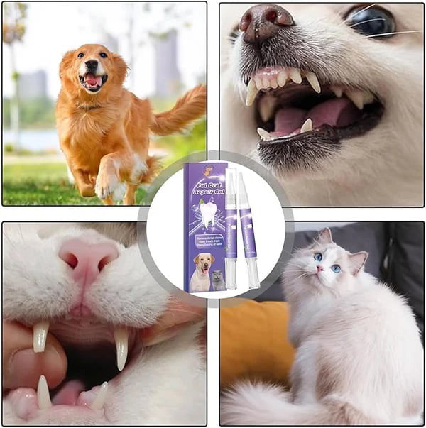 Achetez-en 1, obtenez-en 1 gratuit : Gel réparateur oral pour animaux de compagnie