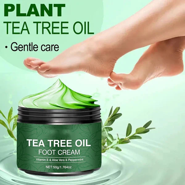 OFFRE SPÉCIALE 2026 Plus de 50 000 unités vendues Crème hydratante pour pieds à l'aloe vera et à l'arbre à thé, Version française optimisée