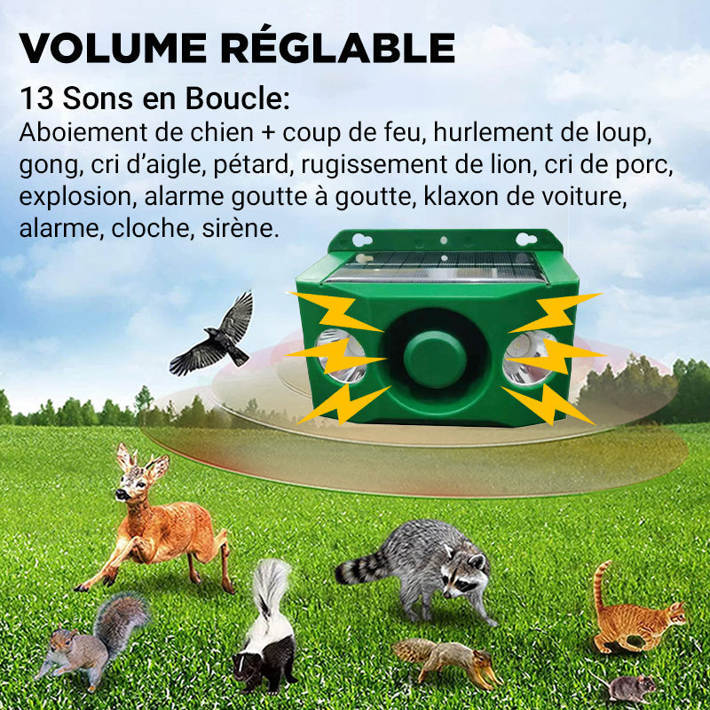 Anti-animal Solar Warning Light with High Volume