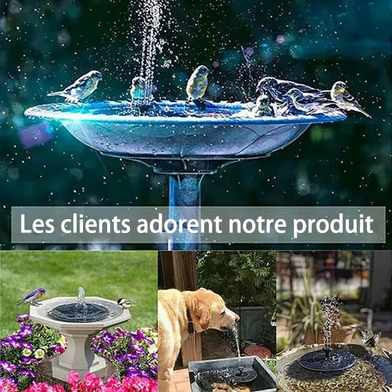 Solar bird baths