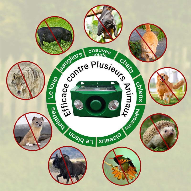 Anti-animal Solar Warning Light with High Volume