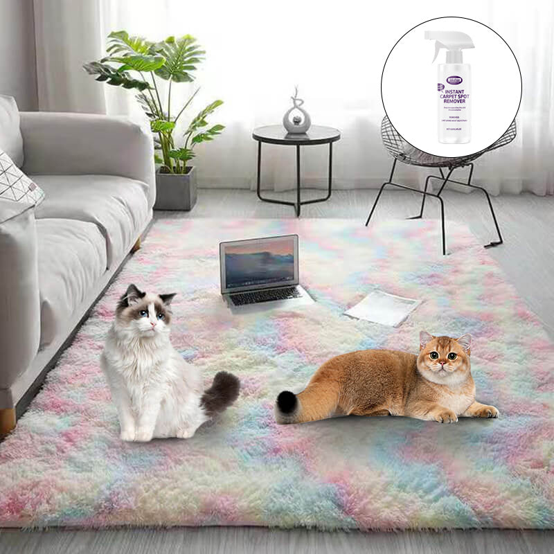 Tapis de sol en peluche couleurs dégradées