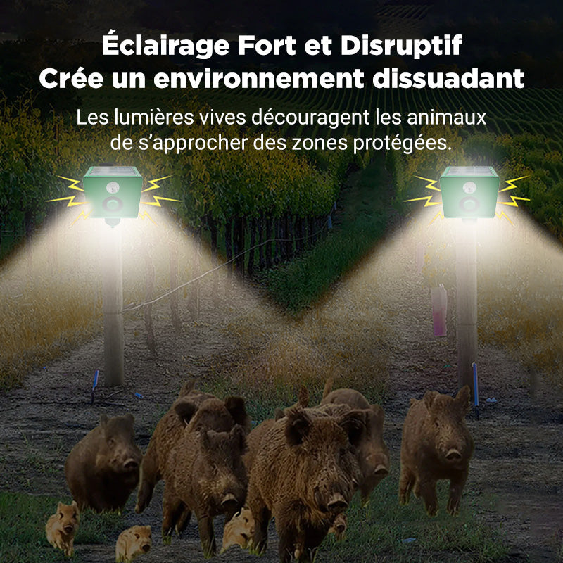 Anti-animal Solar Warning Light with High Volume