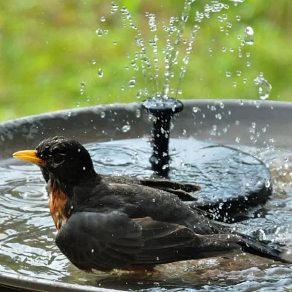 Promotion exceptionnelle -50 % sur les fontaines solaires pour oiseaux