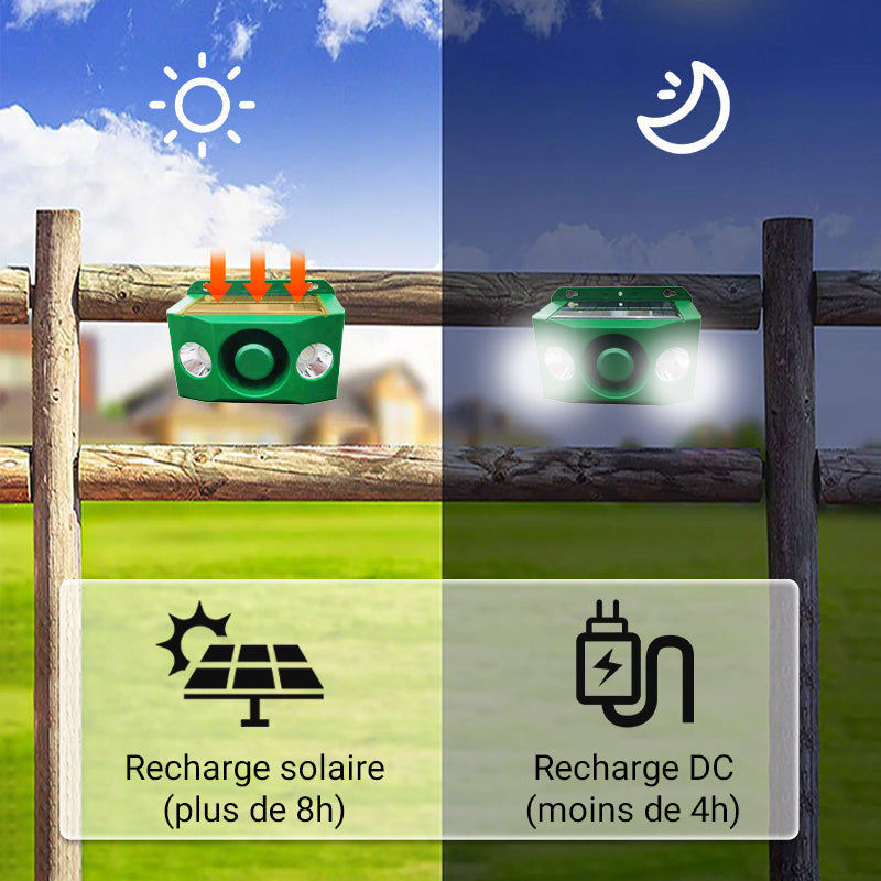 Anti-animal Solar Warning Light with High Volume
