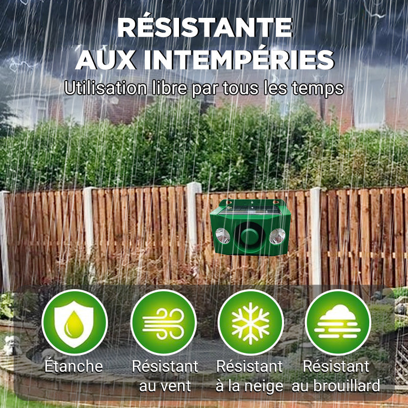 Anti-animal Solar Warning Light with High Volume