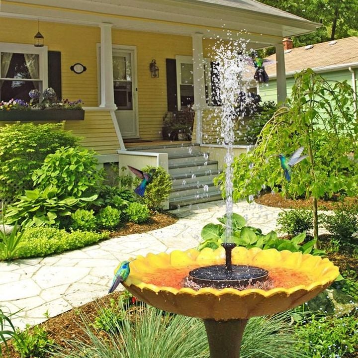 Promotion exceptionnelle -50 % sur les fontaines solaires pour oiseaux