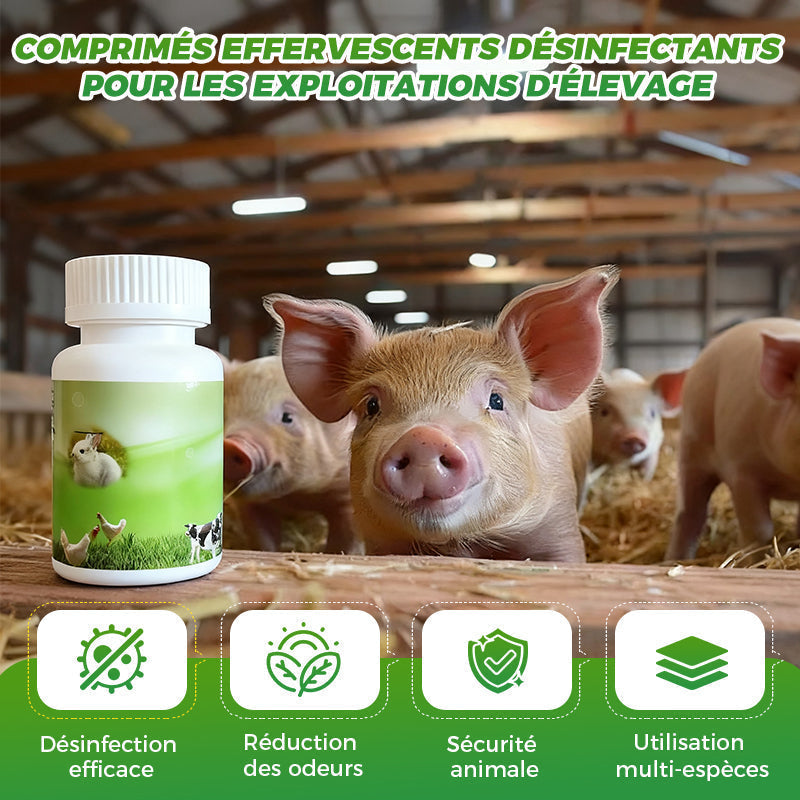 Comprimés désinfectants effervescents pour les exploitations d'élevage