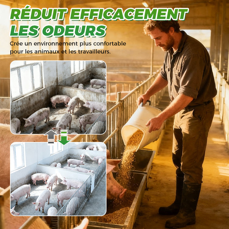 Comprimés désinfectants effervescents pour les exploitations d'élevage