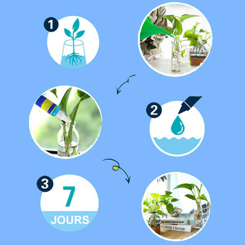 Universal nutrient solution for flowering potted plants Solid roots, vibrant flowers Perfect growth, hassle-free.