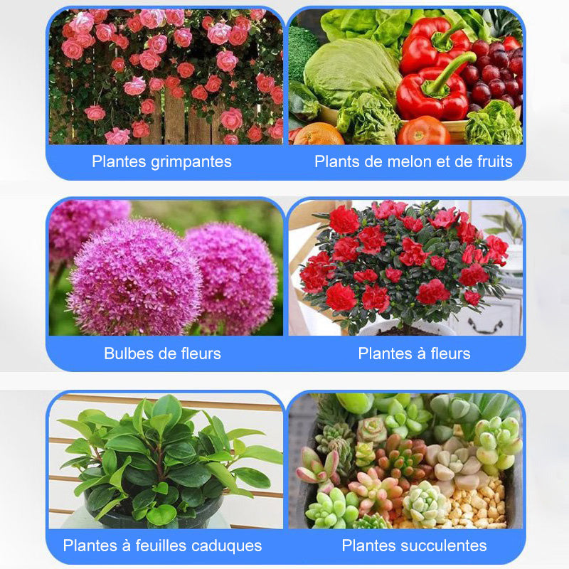 Universal nutrient solution for flowering potted plants Solid roots, vibrant flowers Perfect growth, hassle-free.