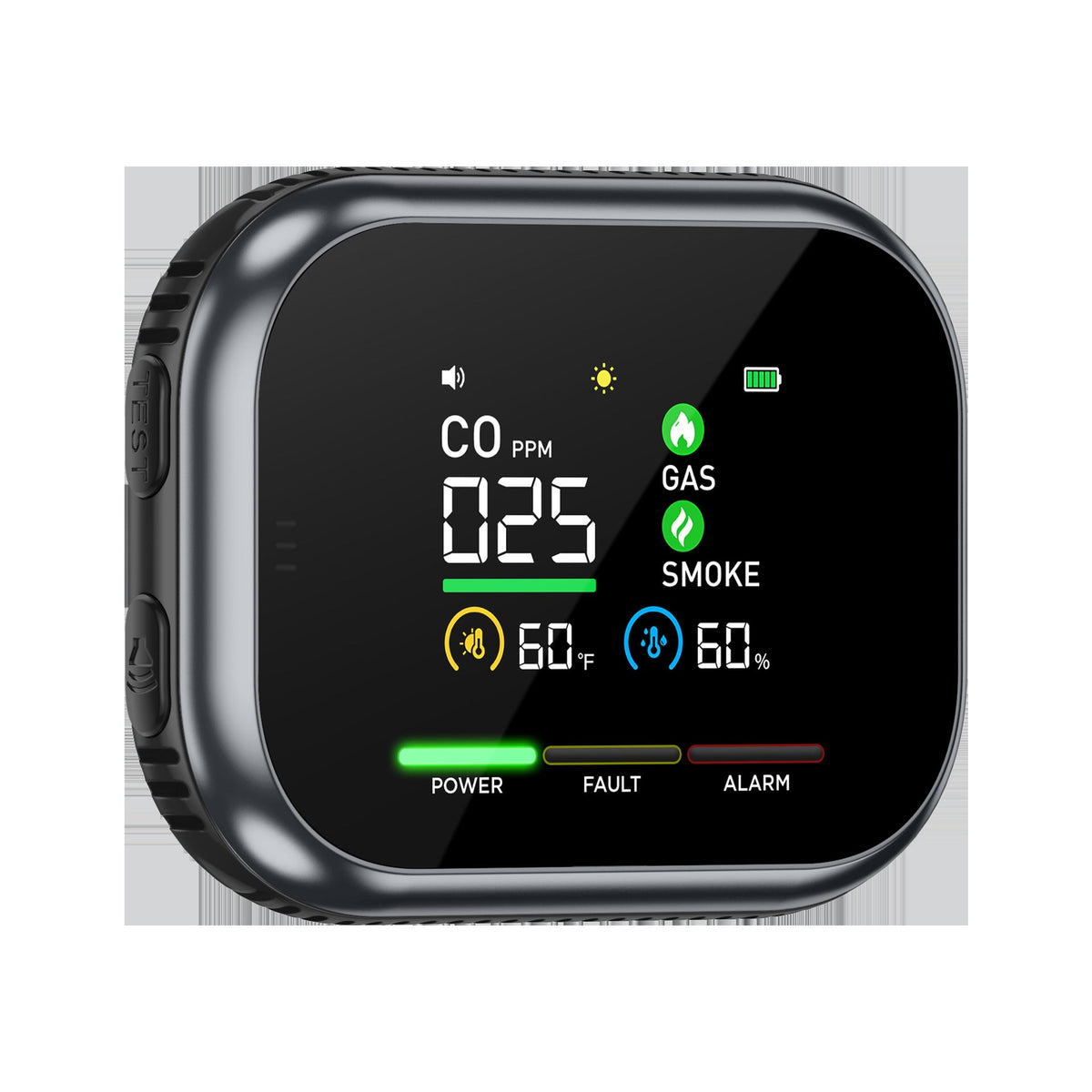 Portable multi-gas detector with LCD display and backup battery