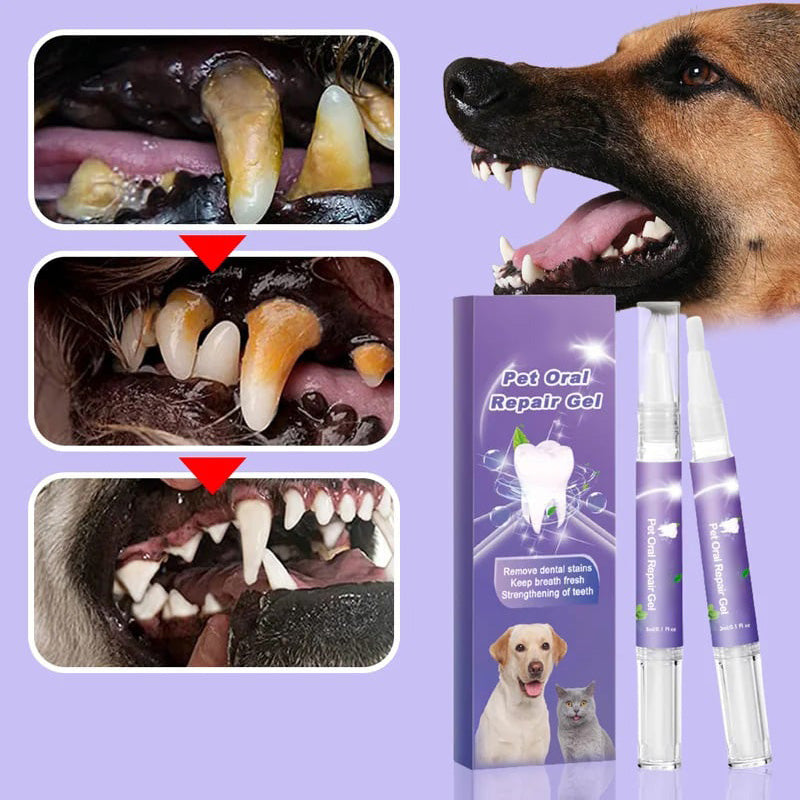 Achetez-en 1, obtenez-en 1 gratuit : Gel réparateur oral pour animaux de compagnie