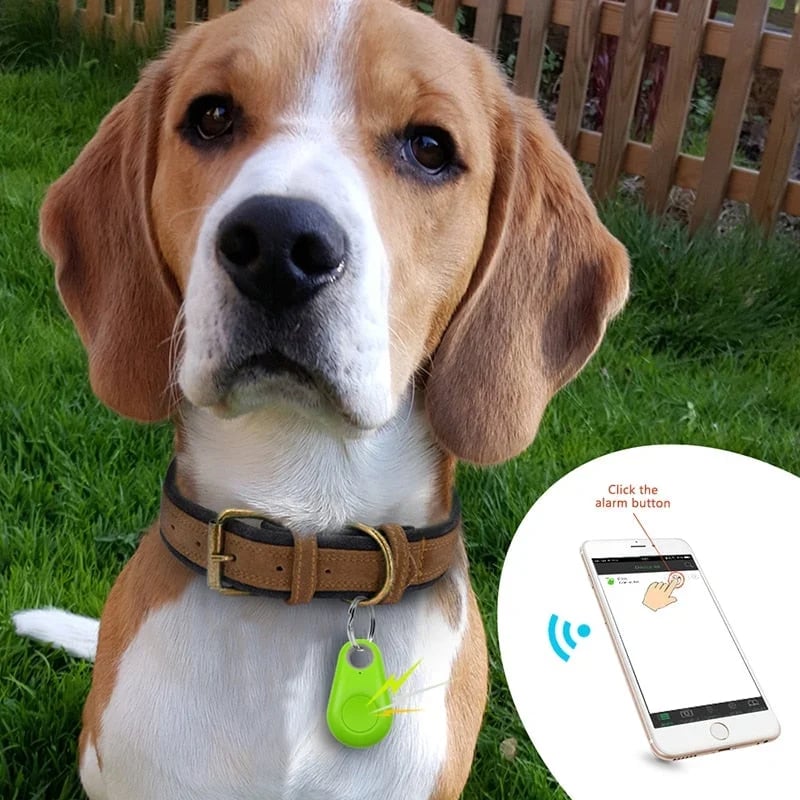 OFFSmart Finder