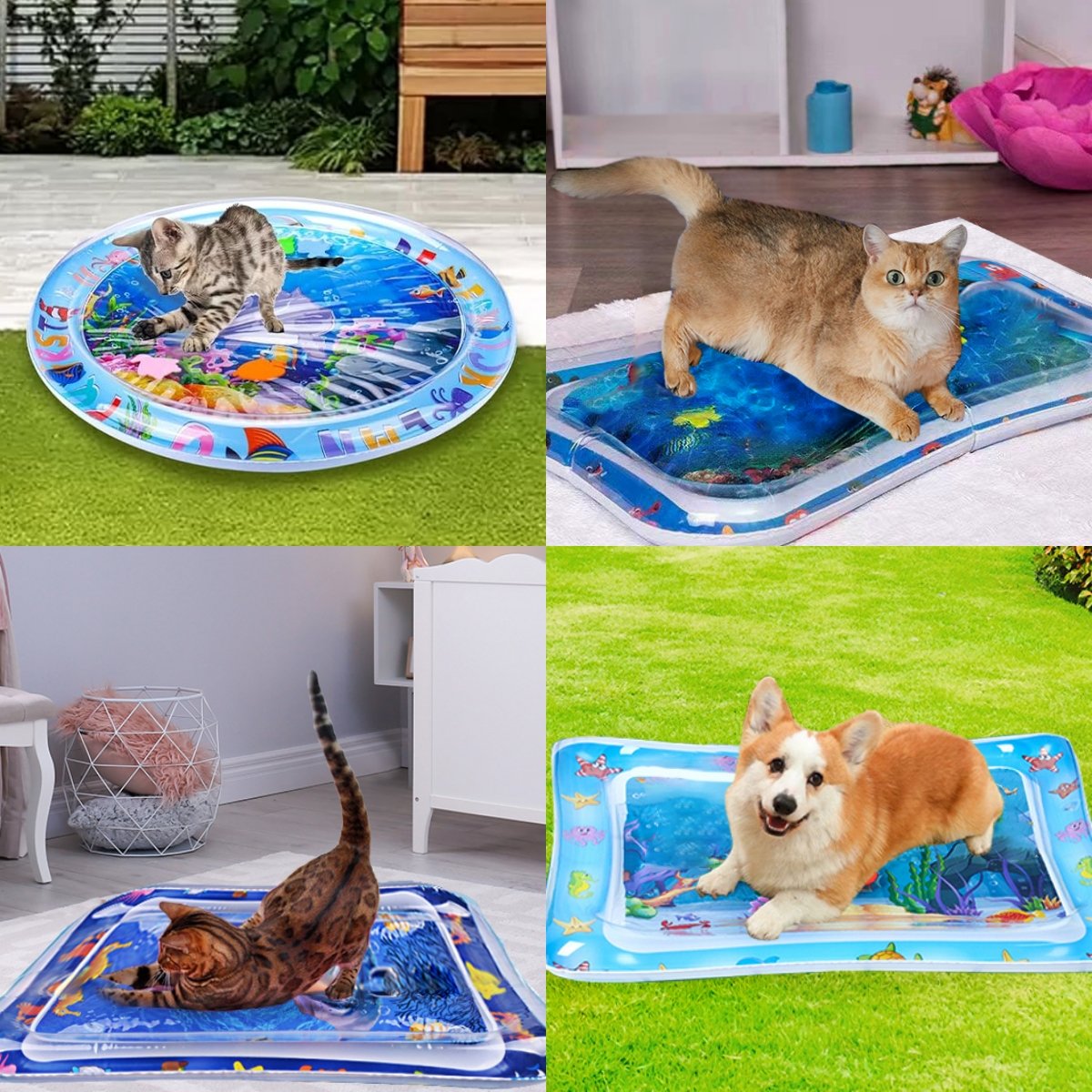Tapis aquatique interactif pour animaux de compagnie avec poissons flottants + tapis rafraîchissant pour l'été