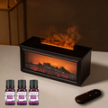 DE RÉDUCTION - Diffuseur d'Humidité avec Flamme de Cheminée - 7 Couleurs LED et Télécommande, Ambiance Apaisante pour Maison/Bureau
