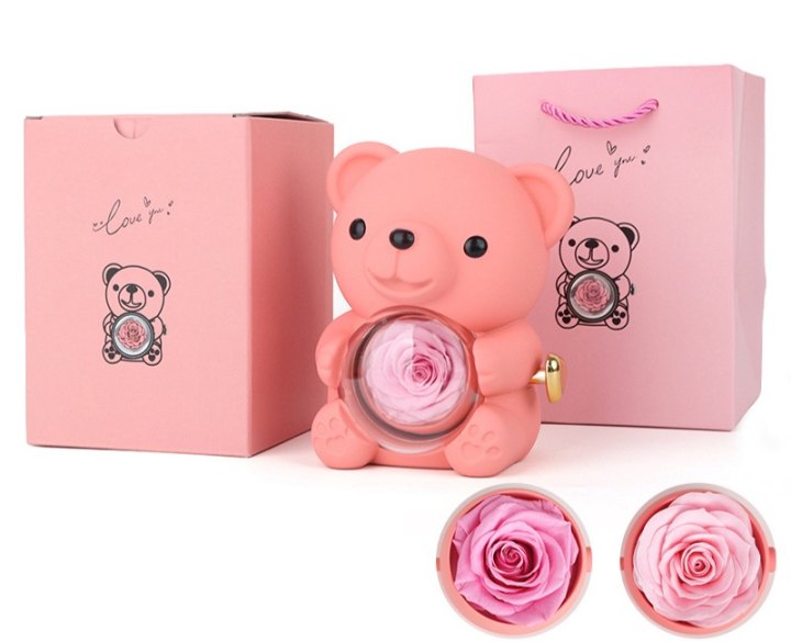 Vente surprise de la Saint-Valentin -57 % : peluche ourson avec rose stabilisée – collier + rose éternelle + ourson en peluche