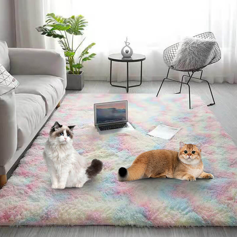 Tapis de sol en peluche couleurs dégradées