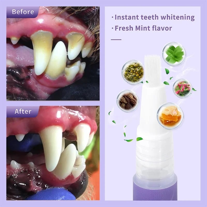 Achetez-en 1, obtenez-en 1 gratuit : Gel réparateur oral pour animaux de compagnie