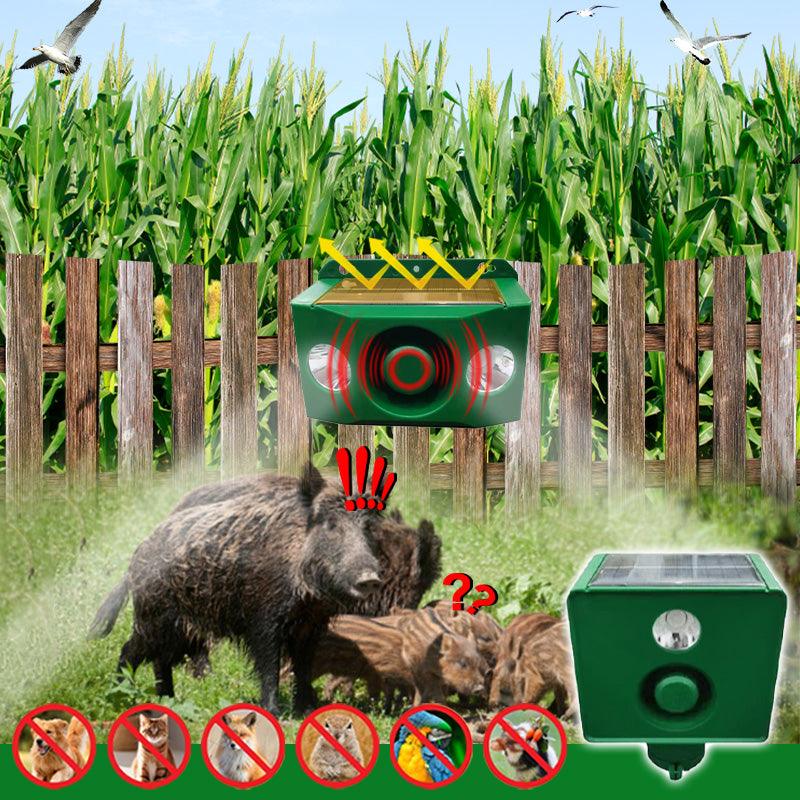 Anti-animal Solar Warning Light with High Volume
