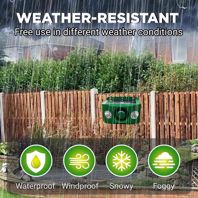 Anti-animal Solar Warning Light with High Volume