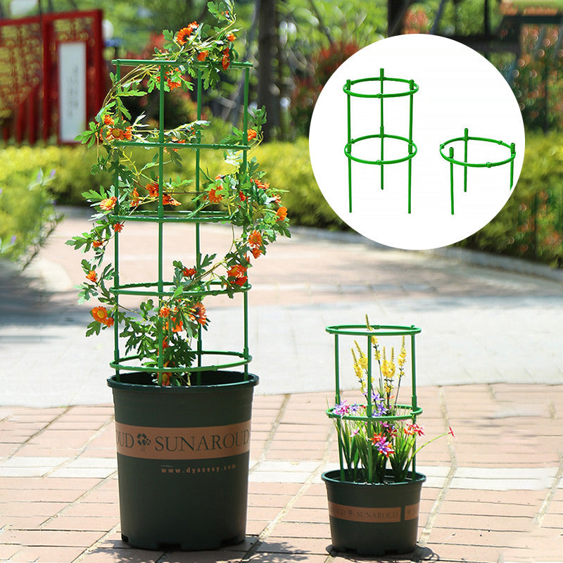 Removable supports for plants, flowers and fruits