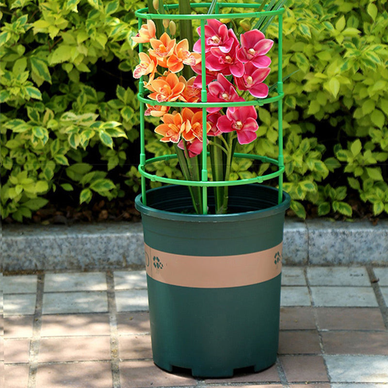 Removable supports for plants, flowers and fruits