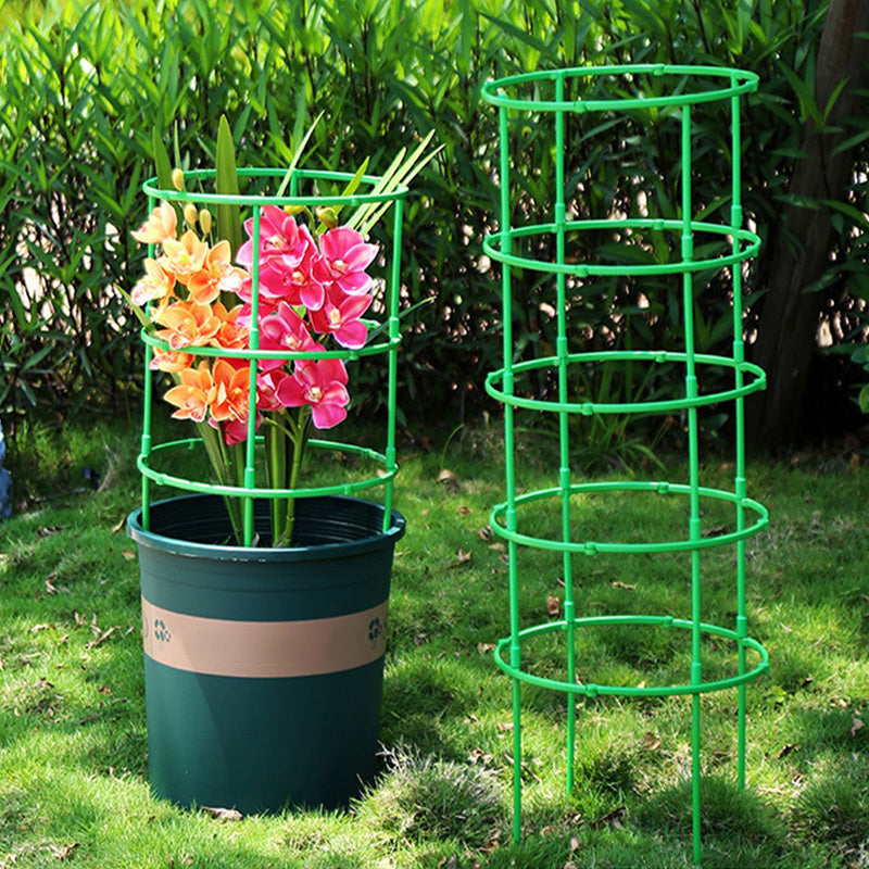 Removable supports for plants, flowers and fruits
