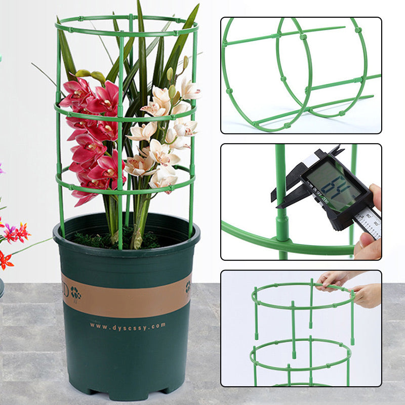 Removable supports for plants, flowers and fruits