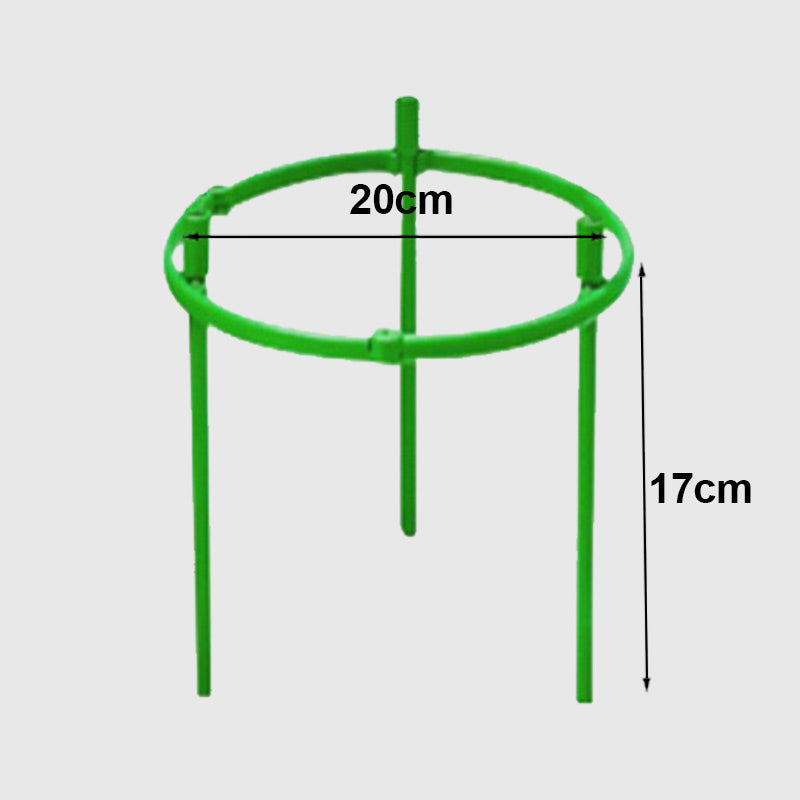 Removable supports for plants, flowers and fruits