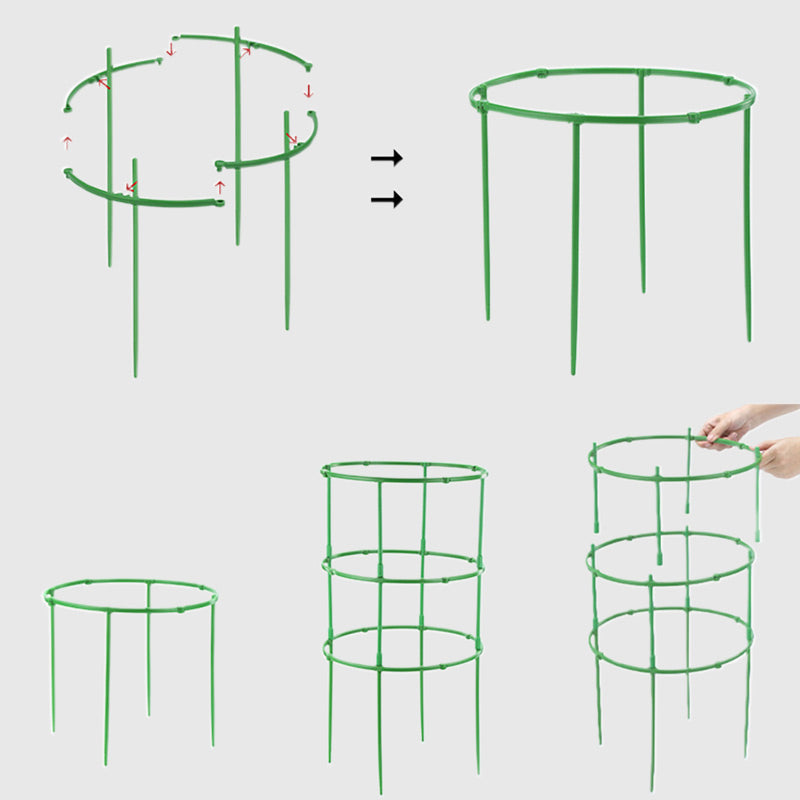 Removable supports for plants, flowers and fruits