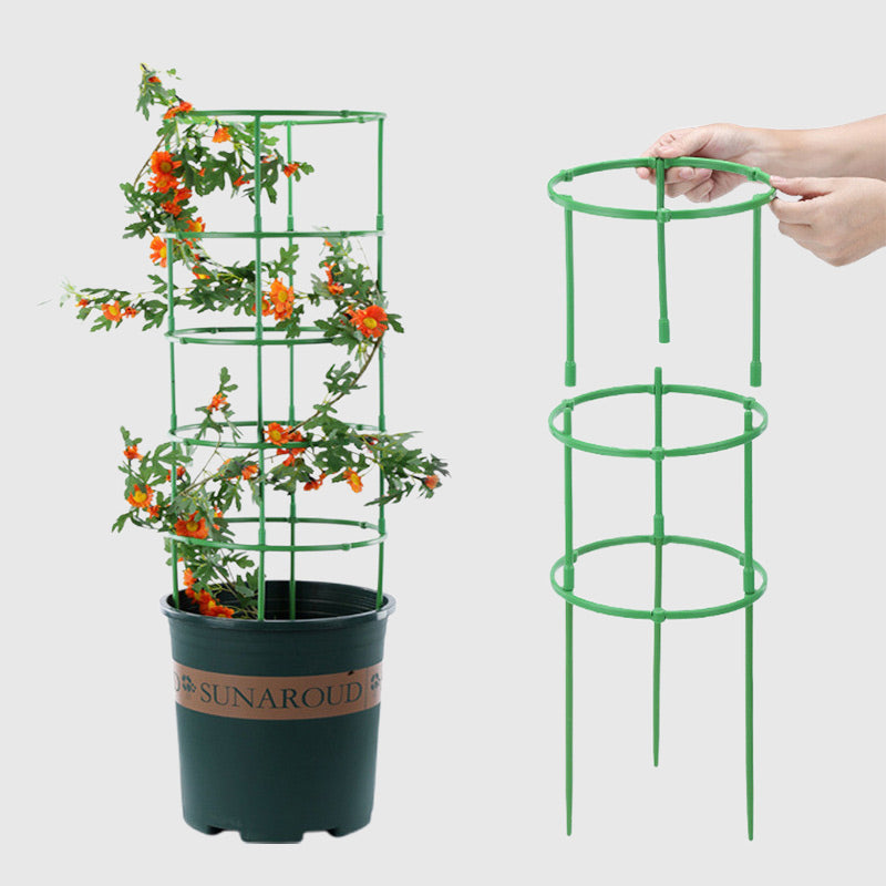 Removable supports for plants, flowers and fruits