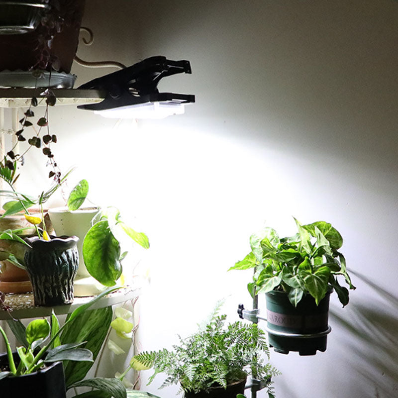 Lampes solaires d'extérieur à pince avec détecteur de mouvement