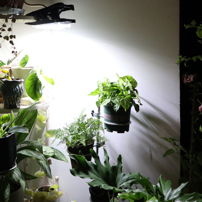 Lampes solaires d'extérieur à pince avec détecteur de mouvement