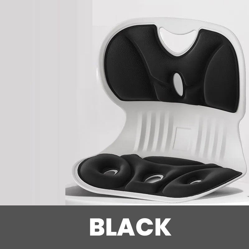 Ergonomic Lumbar and Back Support Cushion in Memory Foam for Chair