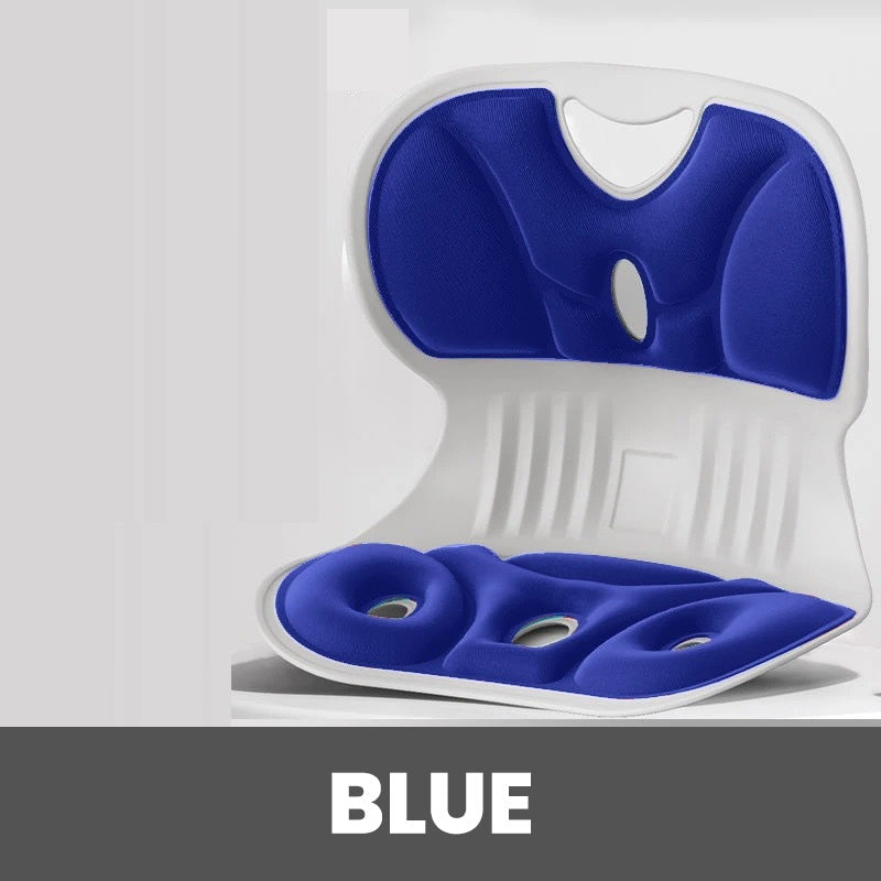 Ergonomic Lumbar and Back Support Cushion in Memory Foam for Chair